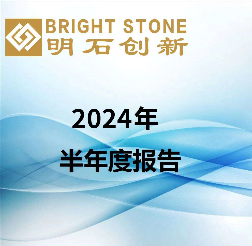 2024年半年度報(bào)告