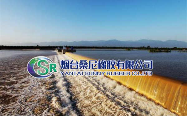 Yantai Sunny Rubber Co., Ltd.